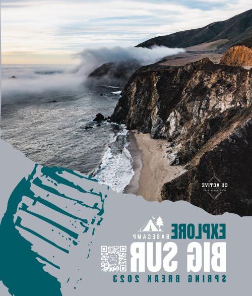 big sur poster